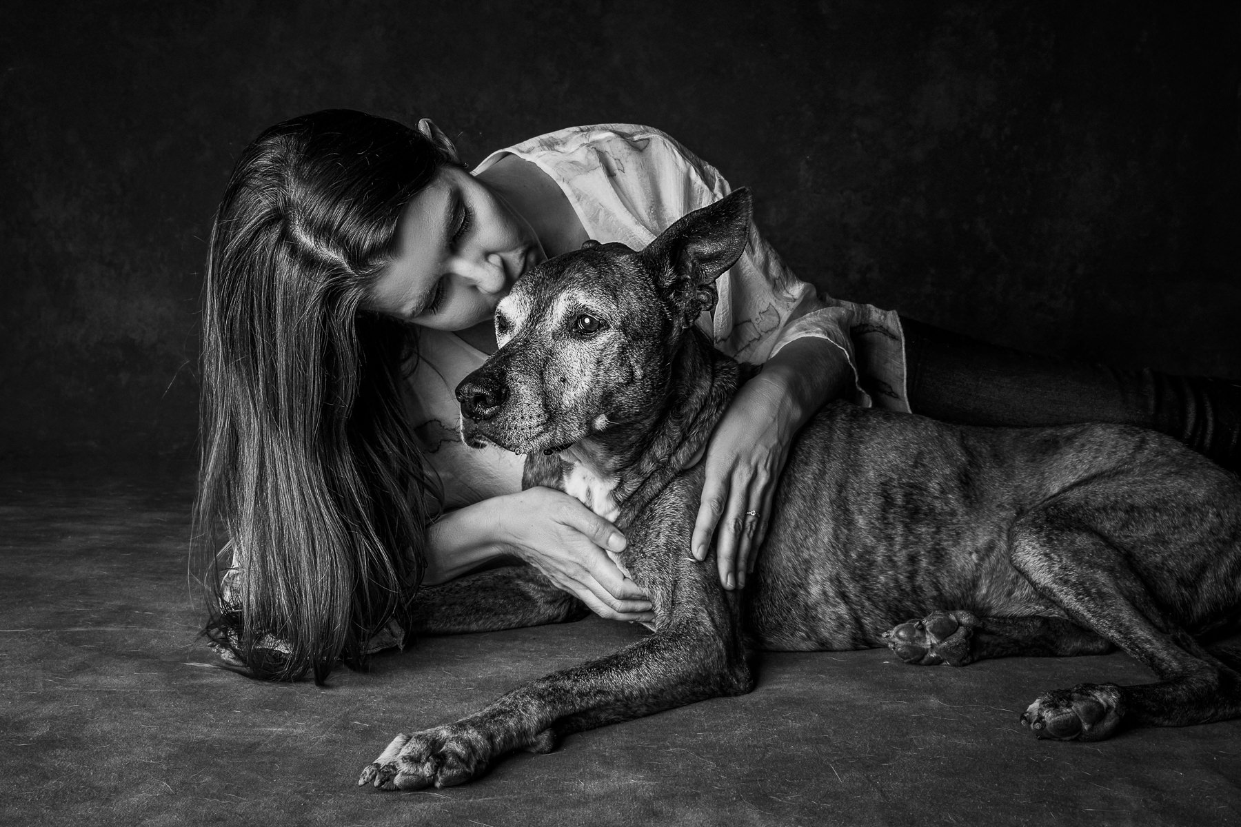 Forever Friends: Honoring Your Beloved Senior Dog with a Heartfelt Portrait